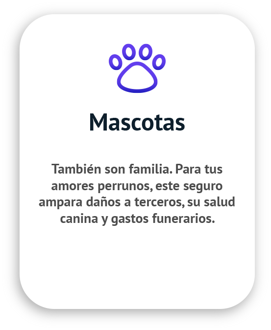 seguros para mascotas