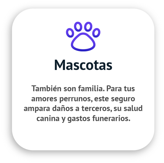 seguro para mascotas